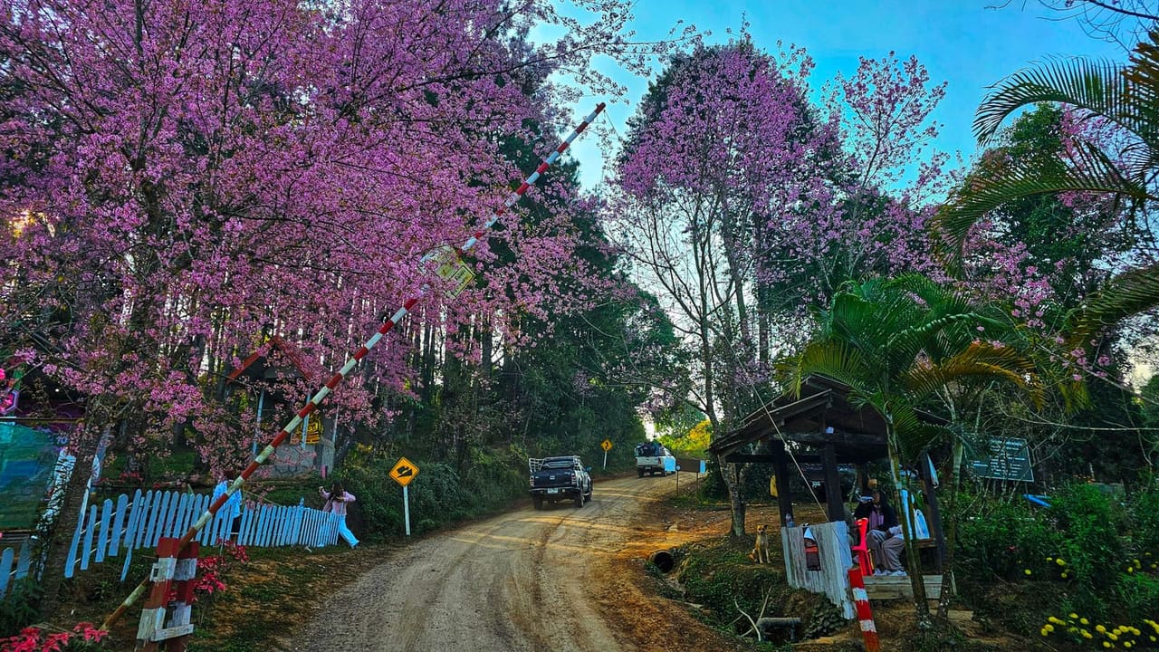 ภูลมโล