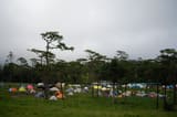 ภูสอยดาว