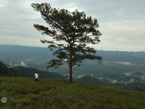 ดอยหลวงตาก