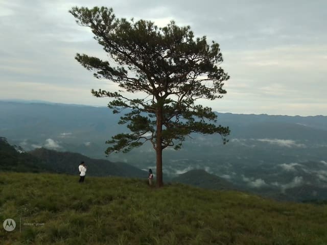 ดอยหลวงตาก
